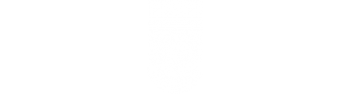 Carinova 370x100px