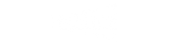 NOVICON 370x100px