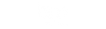 Tsn 370x100px